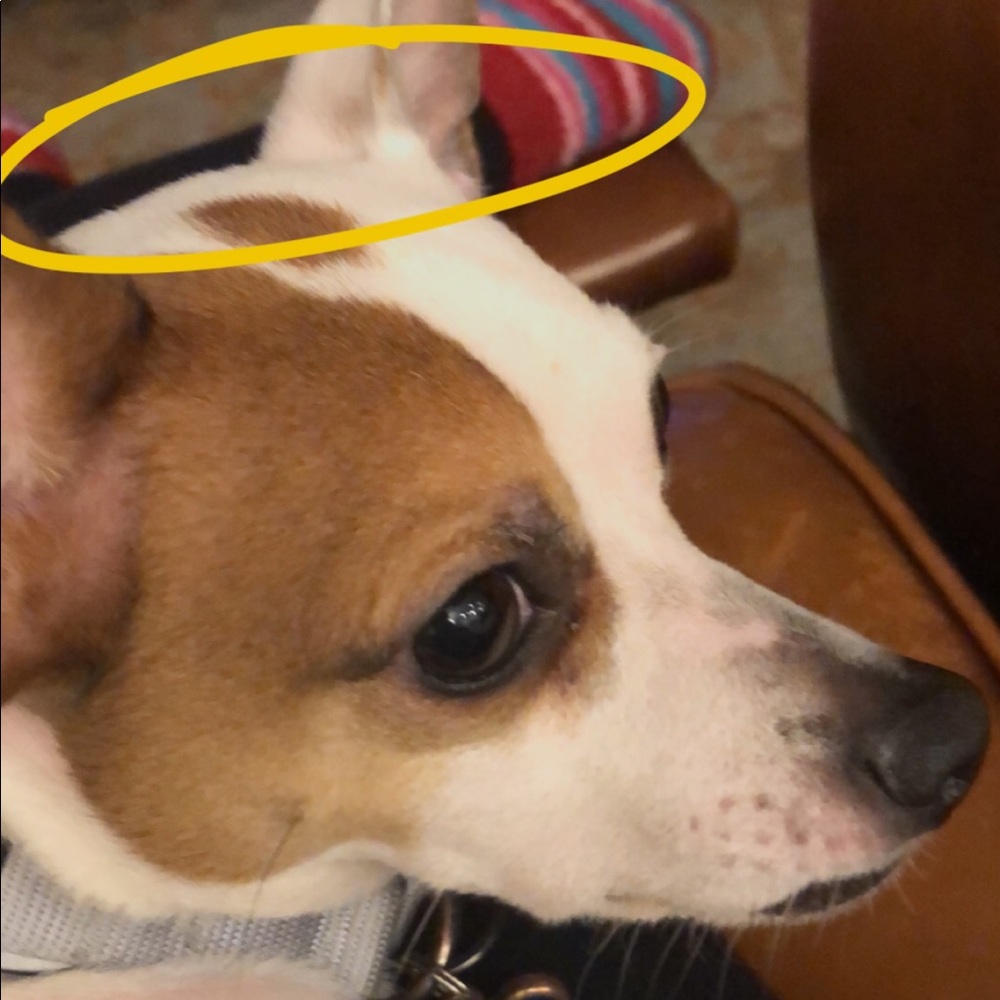 Meet your Posher, Kennedy